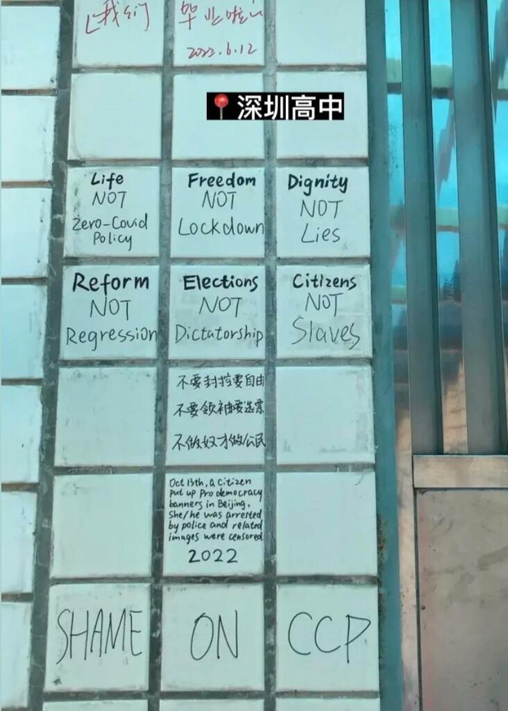 Rakyat Cina Lawan Xi Jinping Dengan Aksi Revolusi Toilet, Duh Kayak Gimana Tuh?