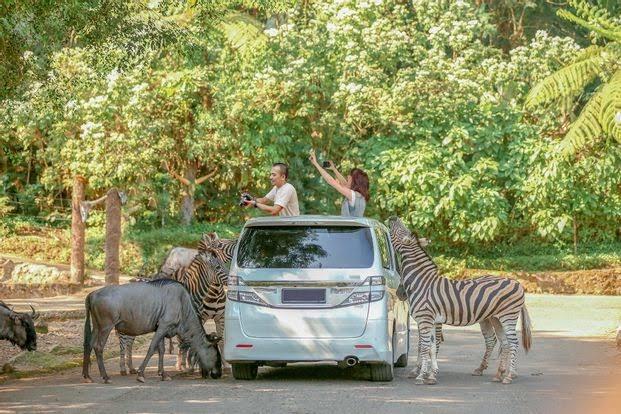 5 Tempat Wisata Ramah Anak Di Bogor. Dari Edukasi Hingga Happy-Happy