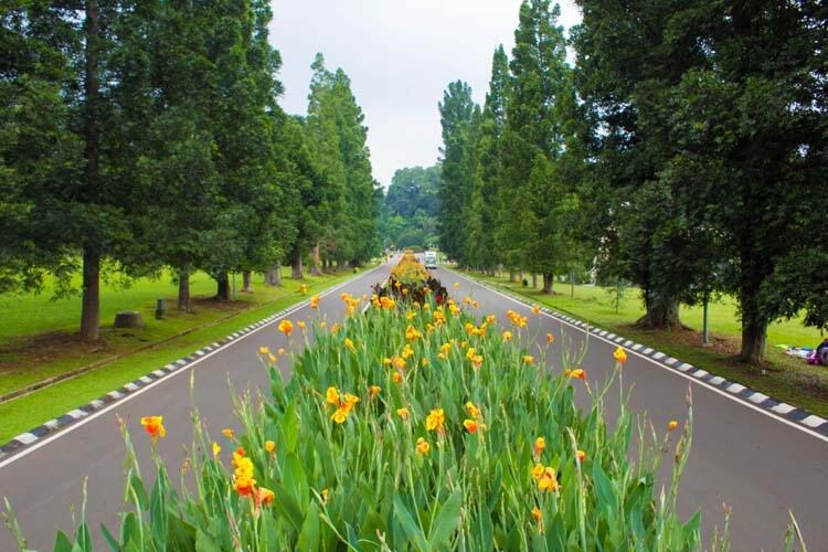 5 Tempat Wisata Ramah Anak Di Bogor. Dari Edukasi Hingga Happy-Happy