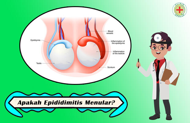 Apakah Penyakit Epididimitis Menular?