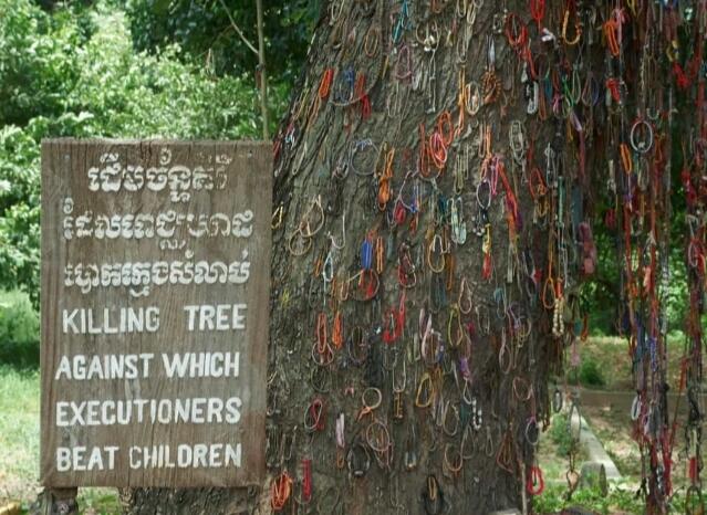 Killing Tree, Saksi Bisu Tragedi Berdarah Memakan Puluhan Ribu Orang di Kamboja