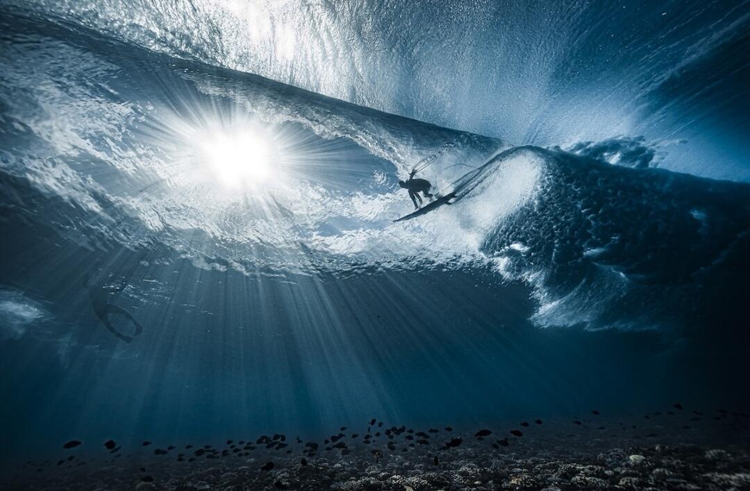 12 Potret Luar Biasa yang Memenangkan Ocean Photography of The Year 2022