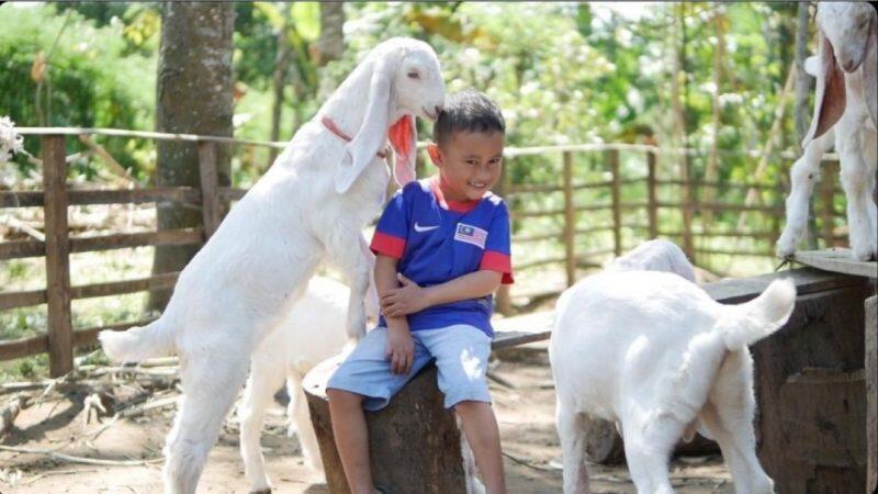 Hobi Memelihara Hewan? Perhatikan Beberapa Hal Ini Agar Tidak Menciptakan Keributan