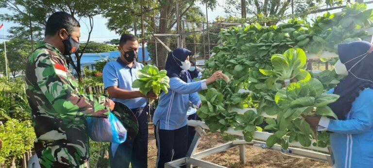 Tinggal di Desa dan Memiliki Hobi Berkebun? Ini Dia Keuntungan yang Bisa Didapatkan