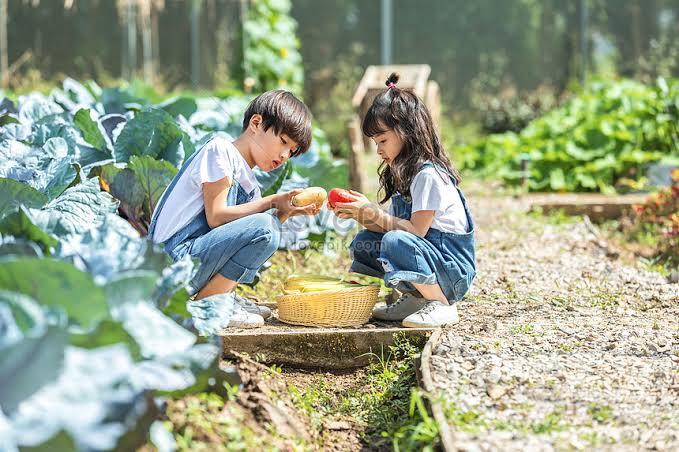 Tinggal di Desa dan Memiliki Hobi Berkebun? Ini Dia Keuntungan yang Bisa Didapatkan