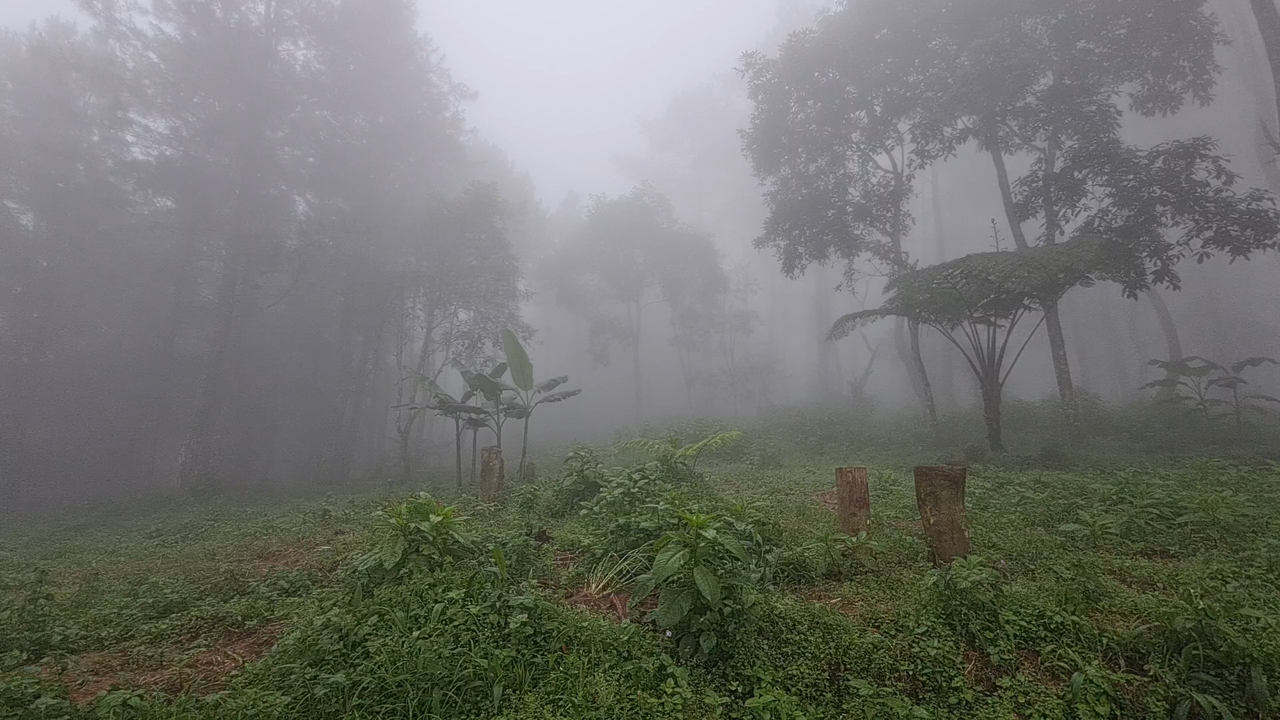 Pertama kali solo camping di Majalengka, seru dan syahdu