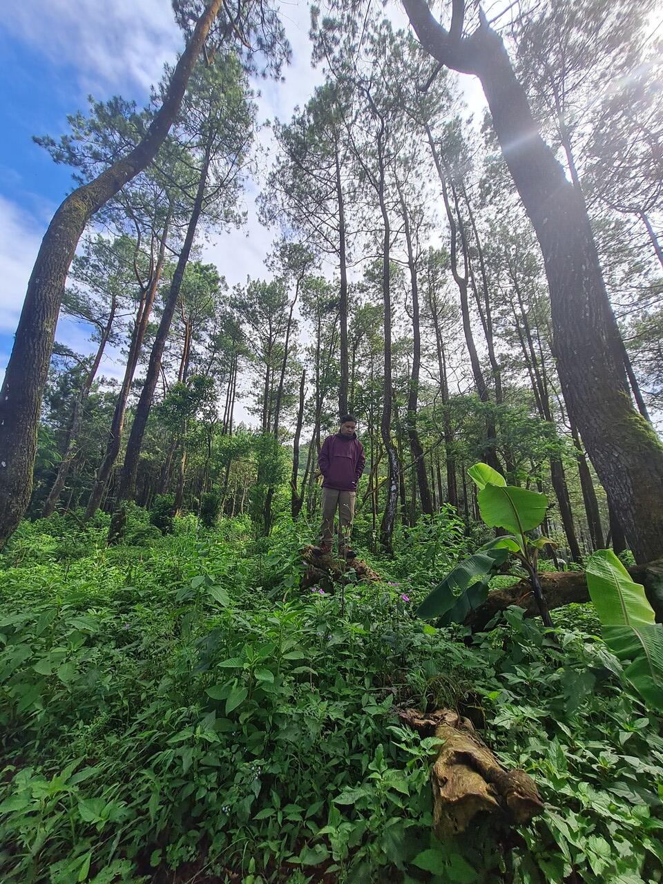 Pertama kali solo camping di Majalengka, seru dan syahdu