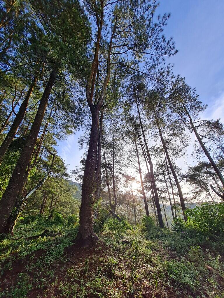 Pertama kali solo camping di Majalengka, seru dan syahdu