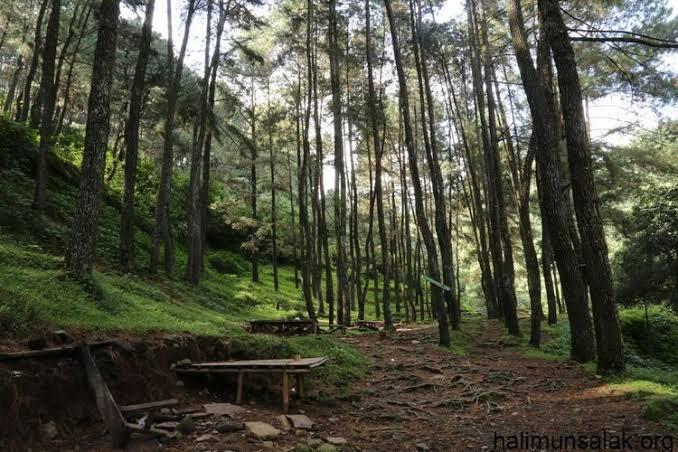 Curug Nangka Bogor! Ahh, Bikin Moal Balik