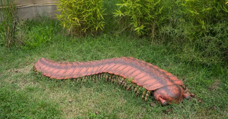 Bukan Cuma Dinosaurus! 7 Hewan Ini Juga Hidup Di Masa Prasejarah! Berikut Faktanya!