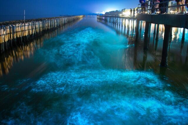 Sea of Stars di Maldives: Laut Bertabur 'Bintang' yang Sesungguhnya