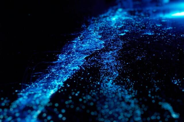Sea of Stars di Maldives: Laut Bertabur 'Bintang' yang Sesungguhnya