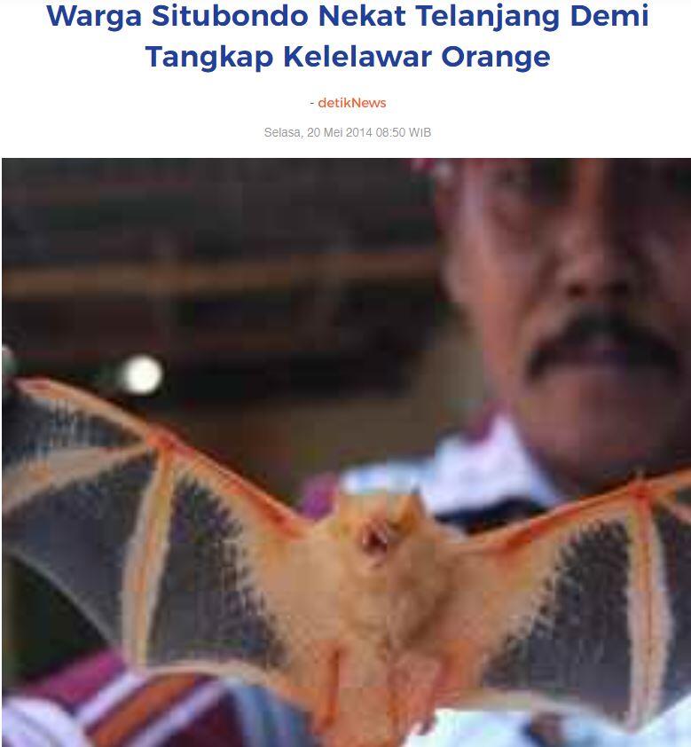 Hewan-hewan Mamalia Unik Khas Indonesia yang Jarang Orang Tahu! PART II