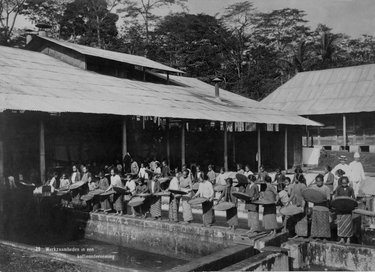 Para Pekerja Di Pabrik Pengolahan Kopi