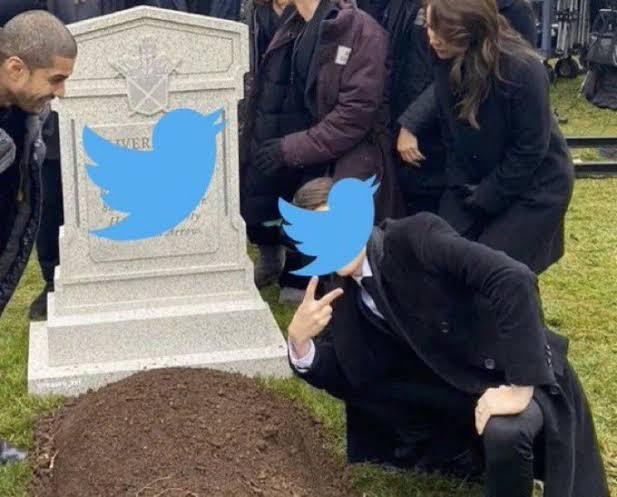 Kebijakan Lawak Elon Musk, Centang Biru Berbayar Bikin Twitter Jadi Enak Buat Penipu?