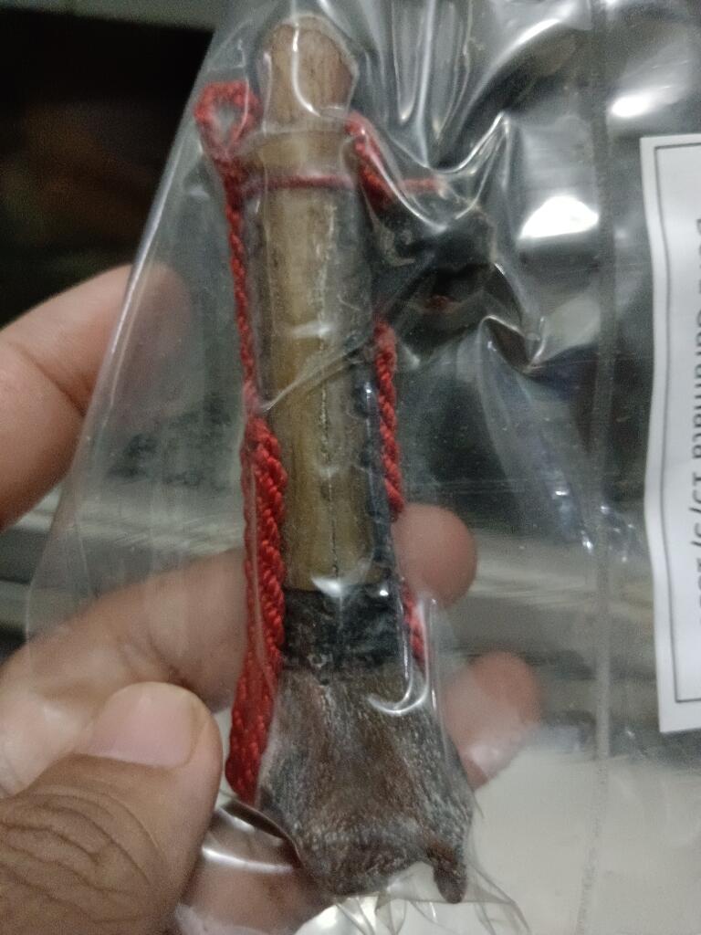 Buli Batak