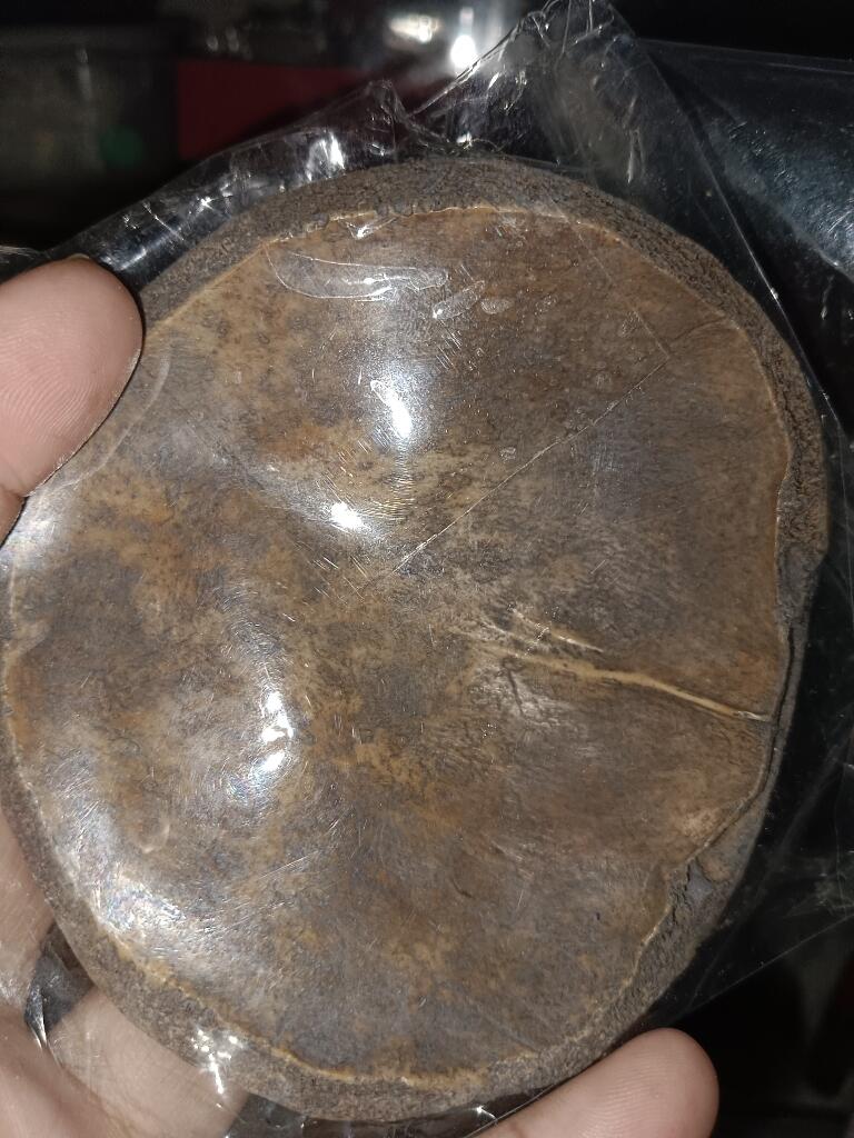 Dari Bangsa Agjory
