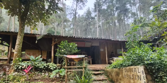 Unik, Warung Kopi di tengah Hutan Belantara Bukan 24 Jam &amp; ada Wifi