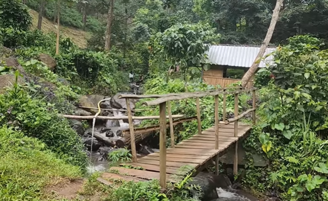 Unik, Warung Kopi di tengah Hutan Belantara Bukan 24 Jam &amp; ada Wifi