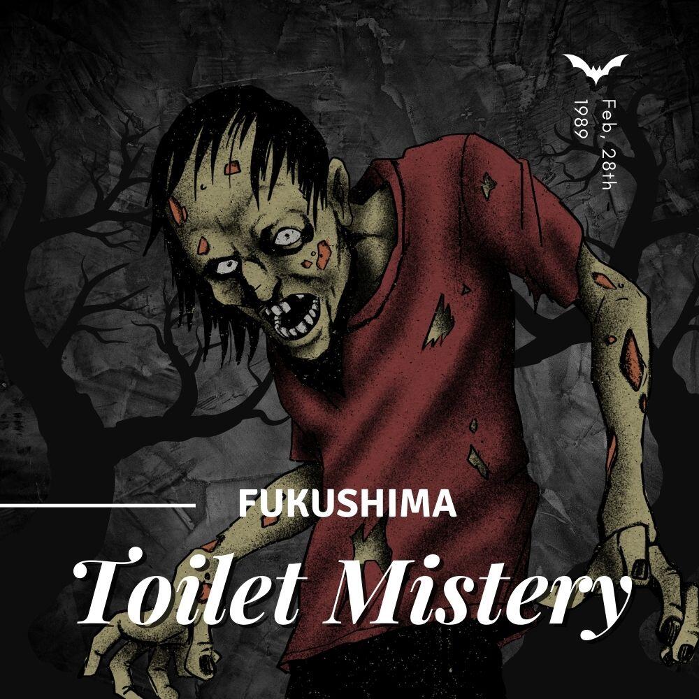 Fukushima Toilet Mistery