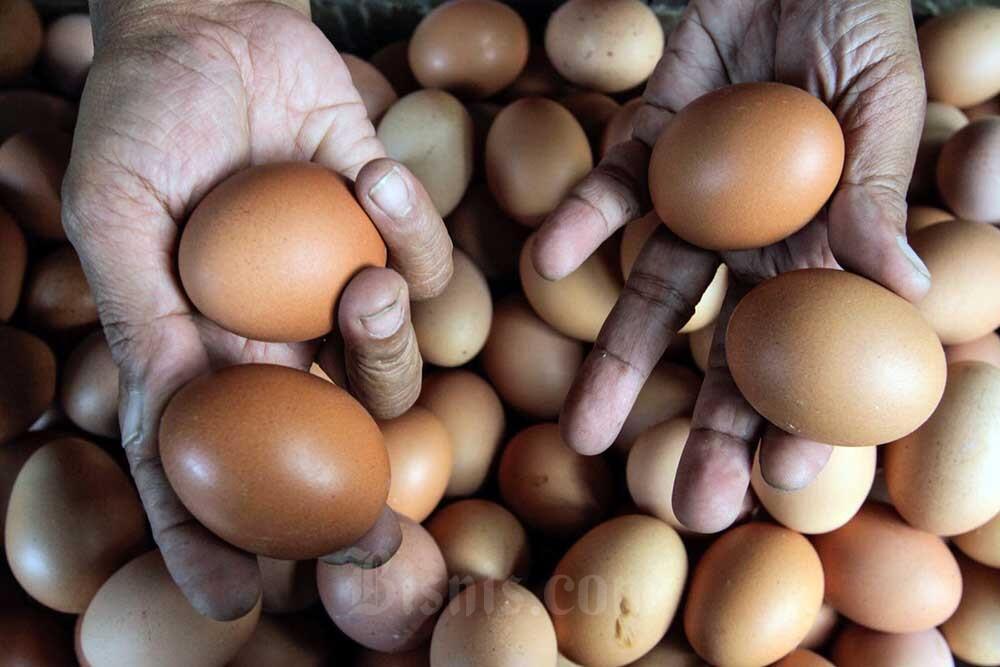 Harga Pangan Hari Ini, 22 November: Harga Telur dan Daging Ayam Naik