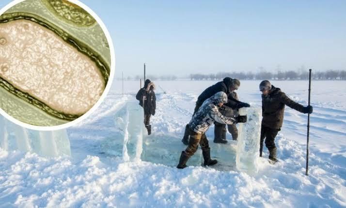 Gawat! Ilmuwan Temukan 'Virus Zombie' Berusia 48.500 Tahun Yang Membeku Di Dalam Es!