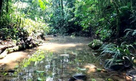 Lebih Pilih Tersesat Di Hutan Atau Gunung, Gan? Inilah Jawaban Rasionalnya