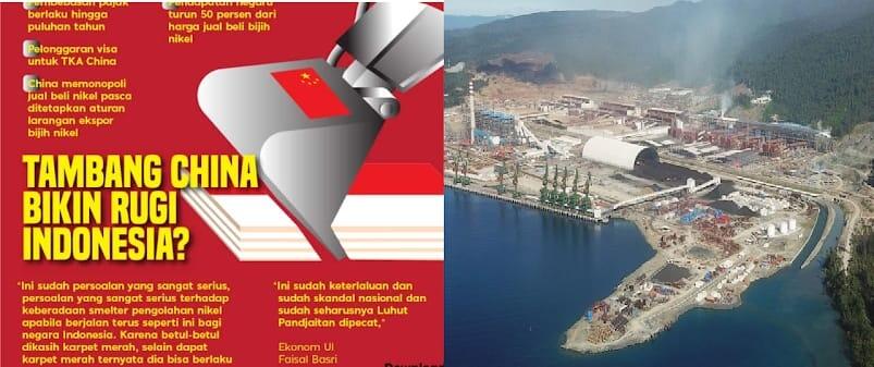 Jor-joran Tambang Nikel di Maluku Utara, China Untung Rp50 Triliun Setahun
