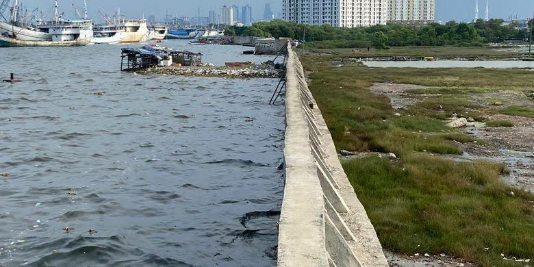 Air Laut Jakarta Lebih Tinggi Dari Daratan! Benarkah Akan Tenggelam?