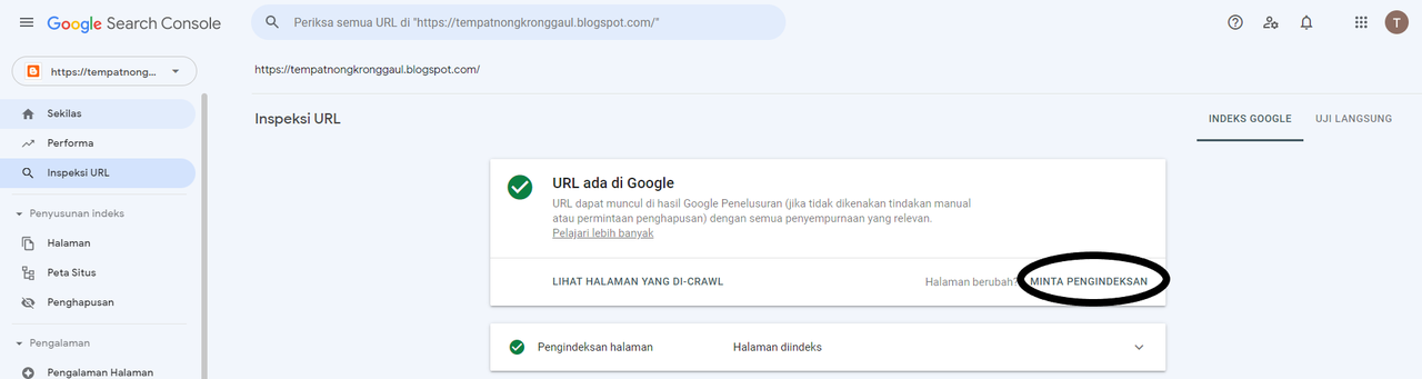 Panduan Lengkap cara menggunakan Google Search Console