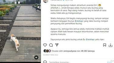 Menakjubkan, Makam Putra Ridwan Kamil Yang Syahid Itu Dijaga Seekor Kucing Lho Gan! 