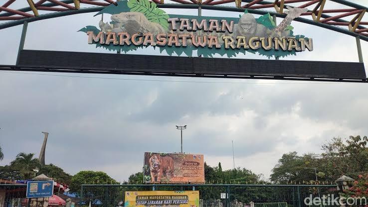 Pengalaman Menjadi Petualang Setelah Dua tahun Capeknya Bukan Main