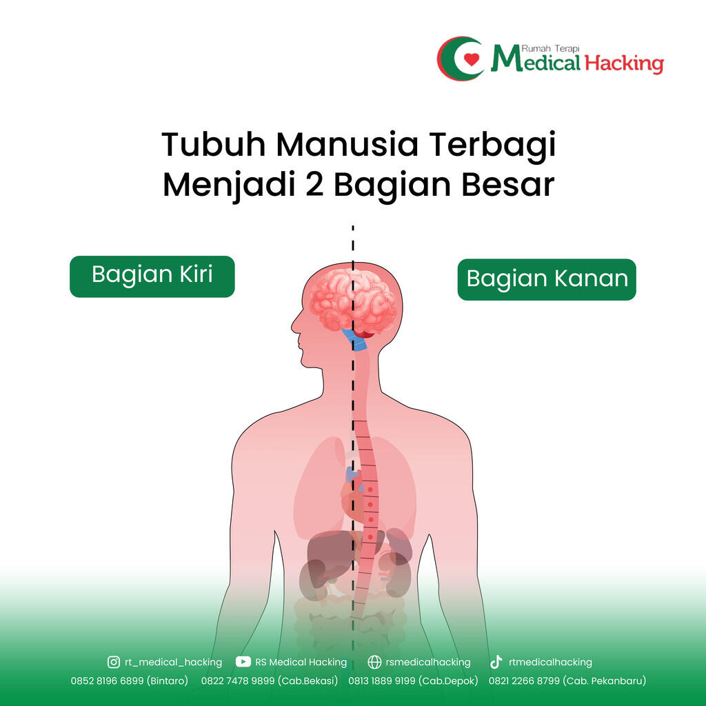 SEMPURNA NYA CIPTAAN TUHAN, INI YANG SEBENAR NYA TERJADI PADA TUBUH KITA!