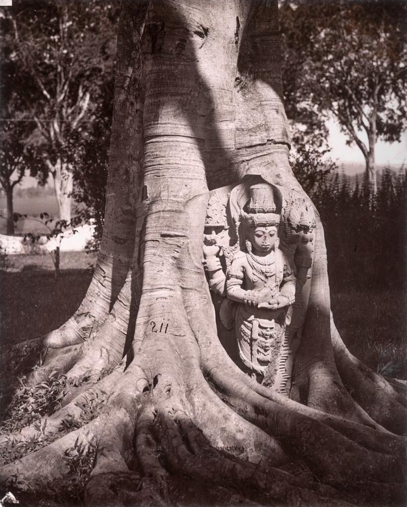 Harihara