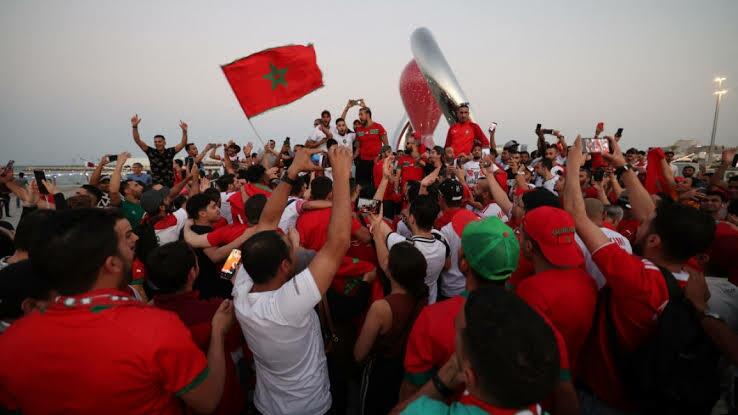 Flu Unta, Penyakit Menular Yang Menghantui Selama Piala Dunia Qatar!