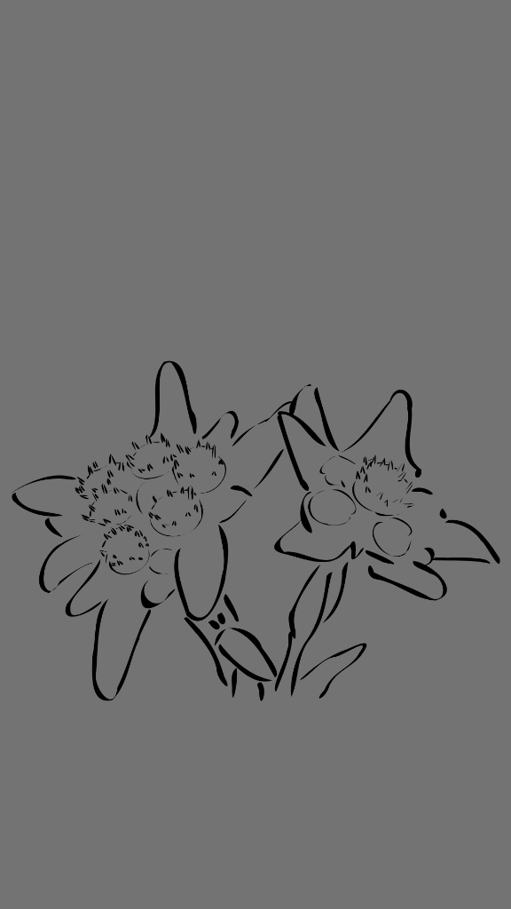 Ada Dengan Edelweiss