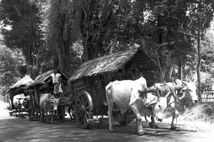 Sejarah Bajingan, dan Bagaimana Bajingan Jadi Kata Makian!