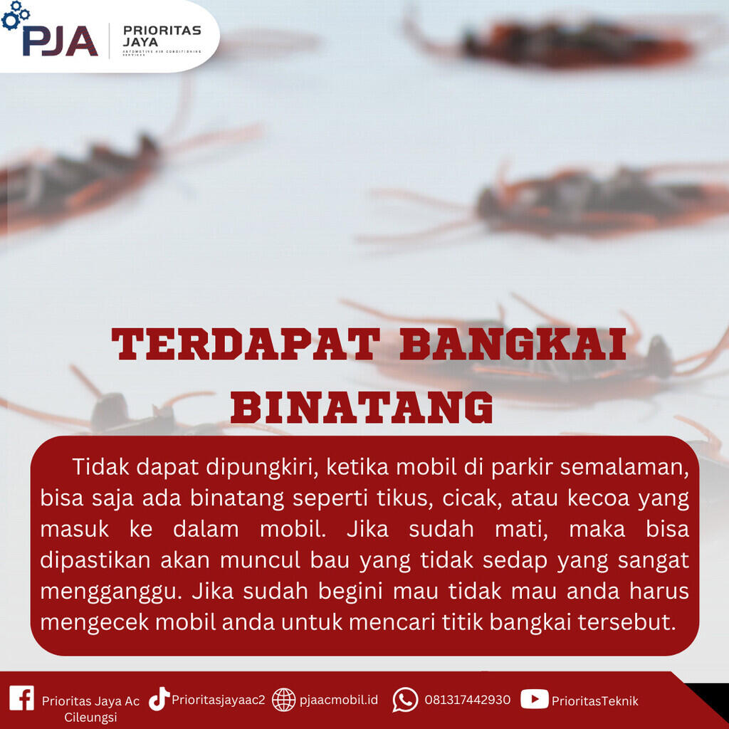 Penyebab Bau Pada Ac Mobil