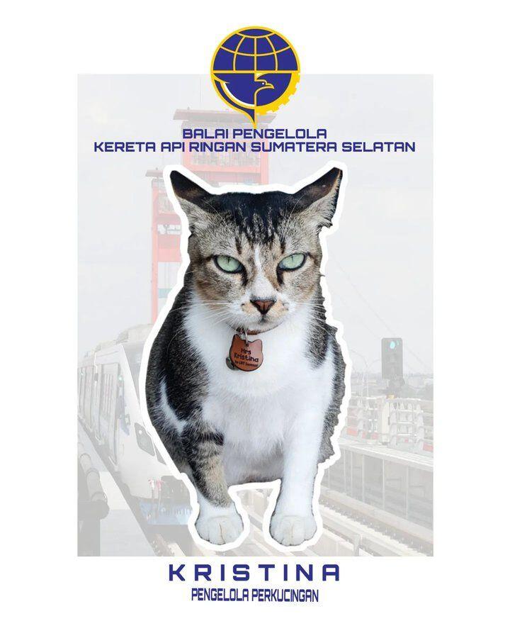 PERKENALKAN KOKOM, KOCHENG DI KEMENTERIAN PUPR.. 🐱