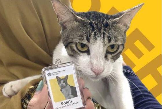 PERKENALKAN KOKOM, KOCHENG DI KEMENTERIAN PUPR.. 🐱