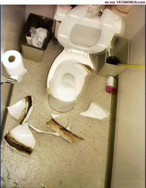 Awas, Jongkok di Toilet Duduk Itu Bahaya dan Bisa Mengakibatkan Cedera Serius
