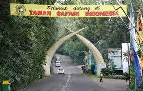 Taman Safari Bogor | Tempat Wisata yang Menyenangkan untuk Keluarga