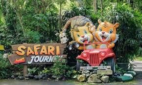 Taman Safari Bogor | Tempat Wisata yang Menyenangkan untuk Keluarga