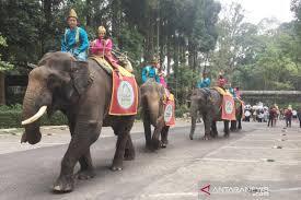 Taman Safari Bogor | Tempat Wisata yang Menyenangkan untuk Keluarga