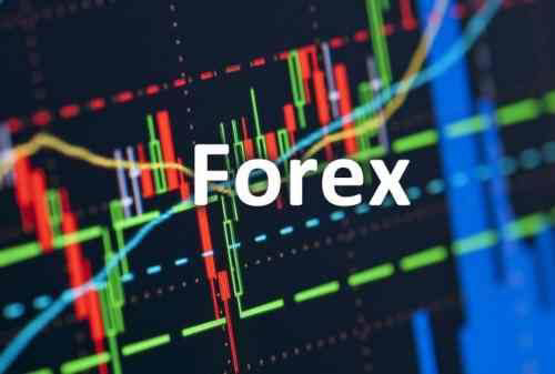 Trading Forex Untuk Pemula, Berapa Modal Paling Minimum?