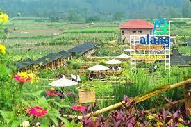 Eksplorasi Keindahan Alam di Cafe Sawah | Tempat Wisata Baru di Kabupaten Malang
