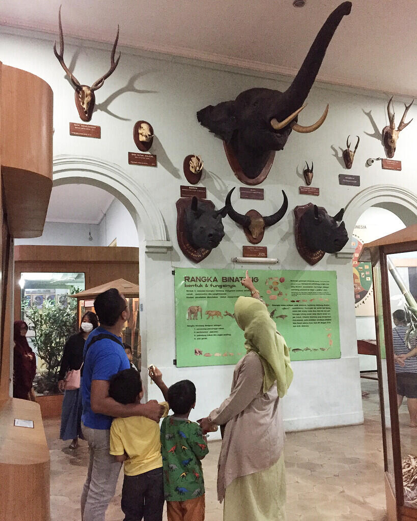 Liburan Ke Museum Zoologi Frater Di Malang 