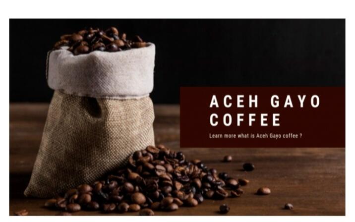 Beberapa Kopi Yang Sudah Mendunia: Gayo Favoritku 