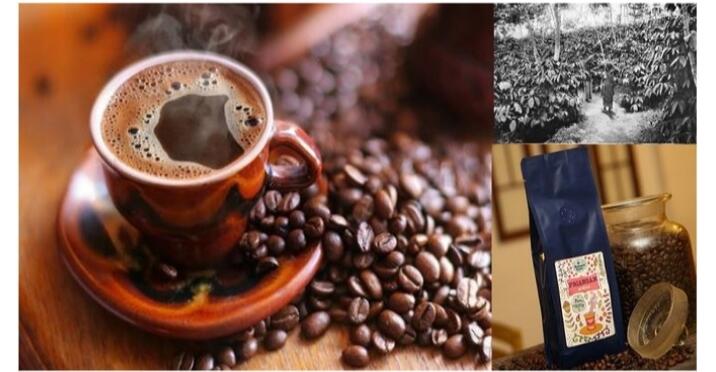 Beberapa Kopi Yang Sudah Mendunia: Gayo Favoritku 