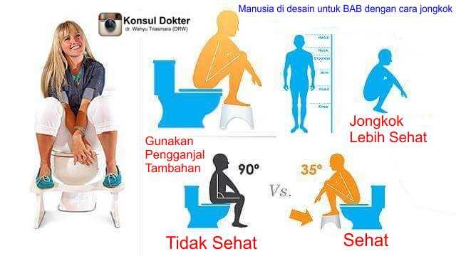 Toilet Jongkok Lebih Sehat Daripada Toilet Duduk, Begini Penjelasannya